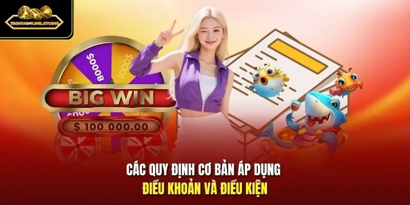 Các quy định cơ bản áp dụng điều khoản và điều kiện