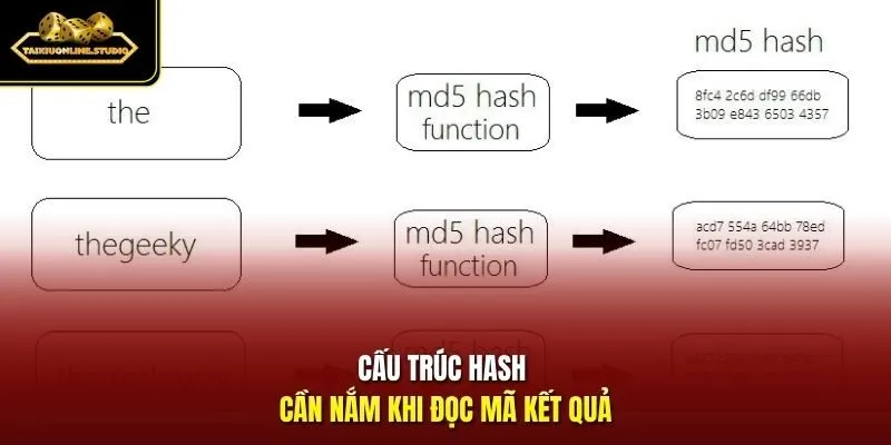 Cấu trúc hash cần nắm khi đọc mã kết quả