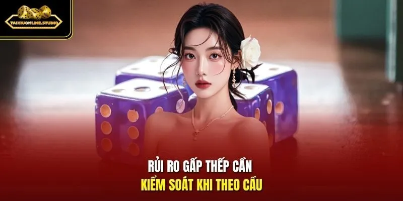 Rủi ro gấp thếp cần kiểm soát khi theo cầu