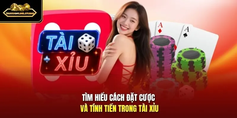 Tìm hiểu cách đặt cược và tính tiền trong Tài Xỉu